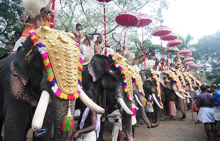 India's Temples May Be Banned From Keeping Elephants. And If They Do ...