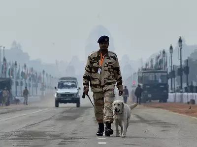 Special Soldier Medals For ITBP Canines, Horses