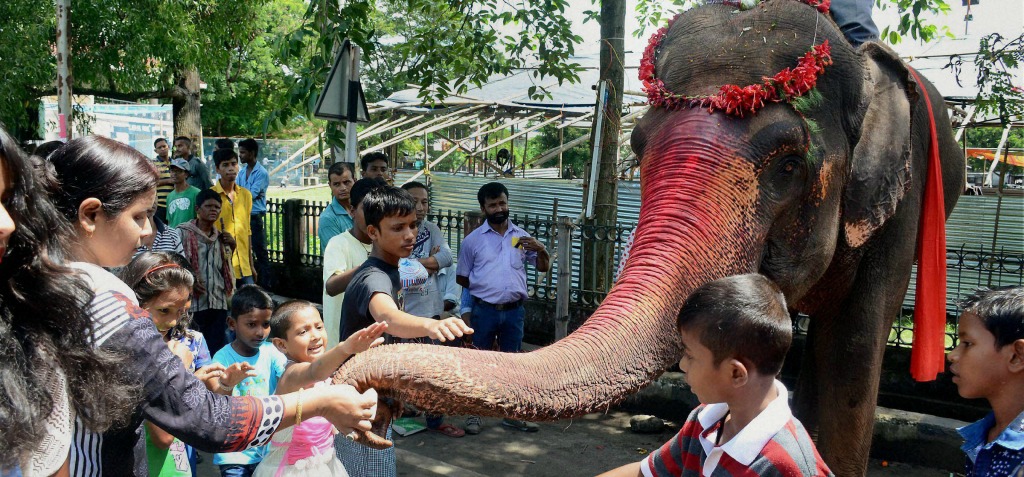 As We Worship Ganesha, Let Us Not Forget The Elephants Living In Captivity