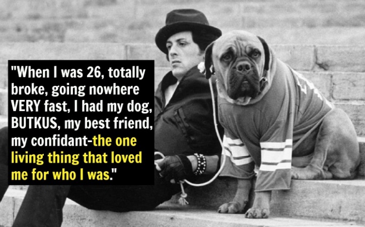 sylvester stallone dog sylvester stallone dog