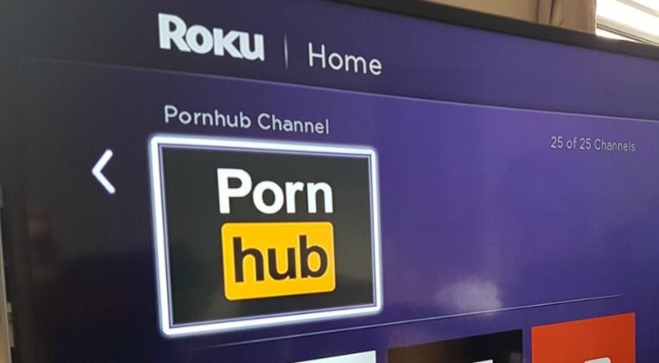 Russians Now Need A Passport To Watch Porn Online Thanks