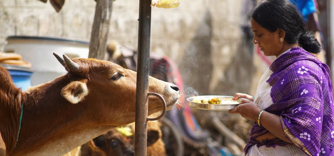 what happens if a hindu eats beef