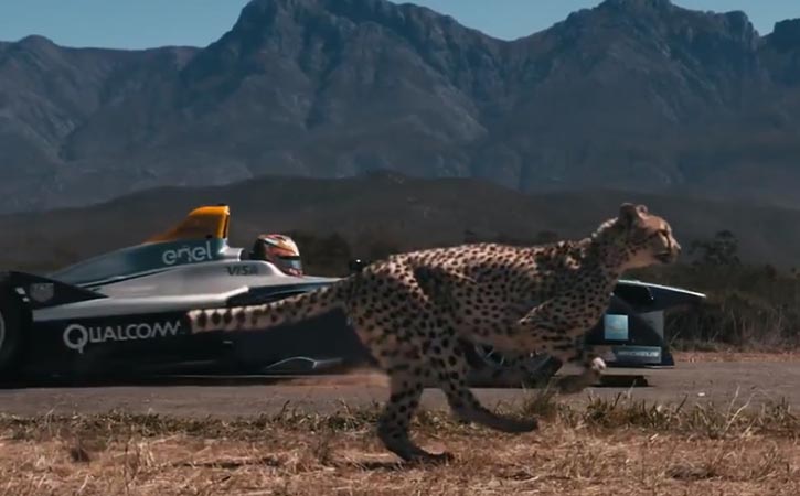 d racing cheetah