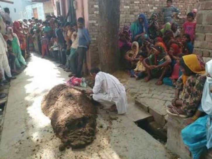 oneindia