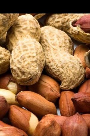 metabolism foods india that increase Weight Recipes, Healthy Diet Fitness, and Healthy Loss,