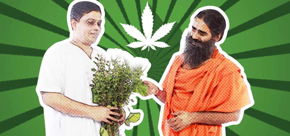 Weed Energy: Baba Ramdev's Patanjali Wants Marijuana Legal ...