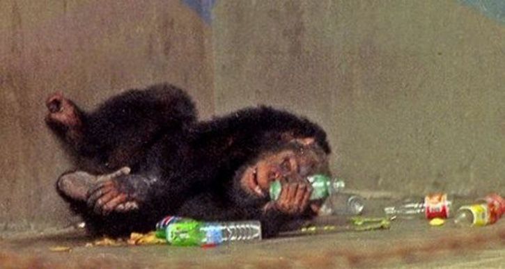 Drunken Monkey Drunken Monkey
