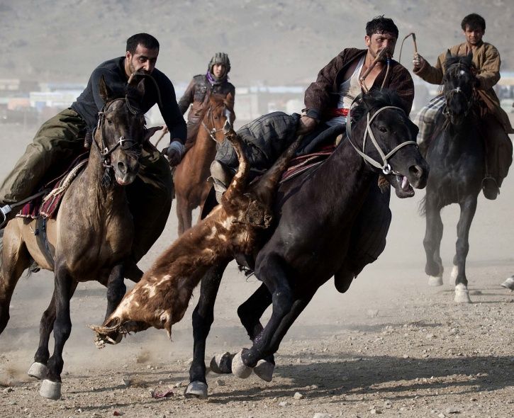 All You Need To Know About Buzkashi, Afghanistan's ...