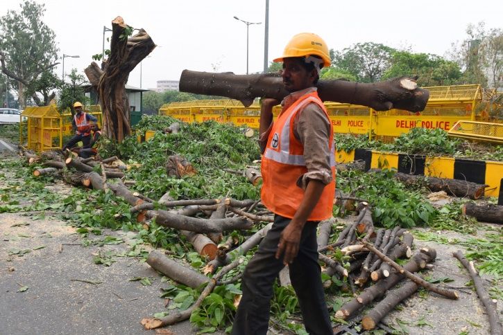 Cutting air trees pollution
