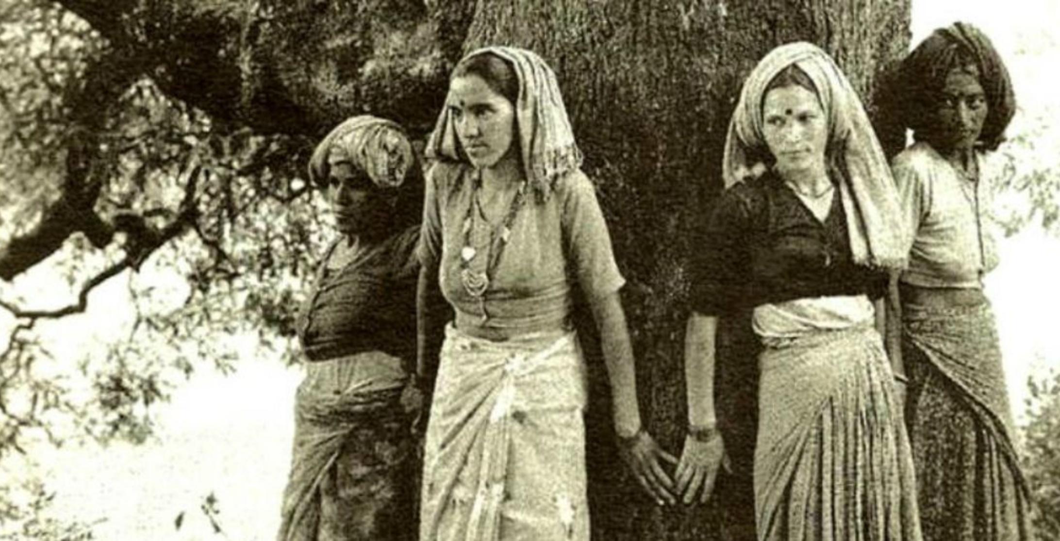 Chipko Andolan Was The Strongest Movement To Conserve Forests India Needs It Again
