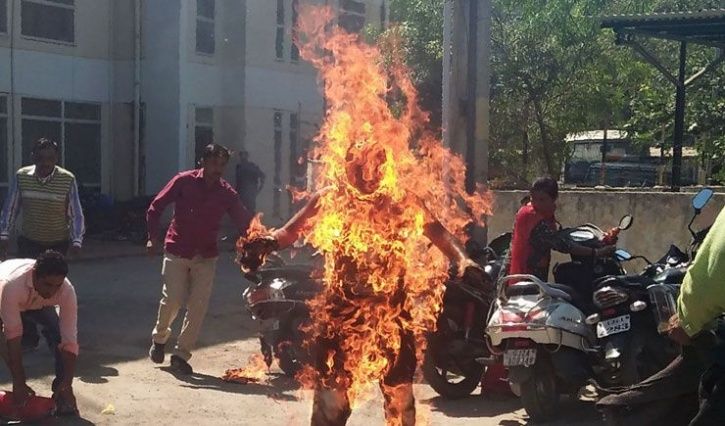 Delhi Man Tries To Burn Down Bee Hive Outside Home, Gets