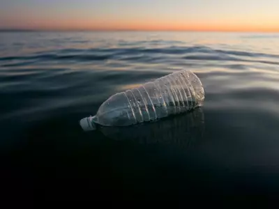 plastic in the sea
