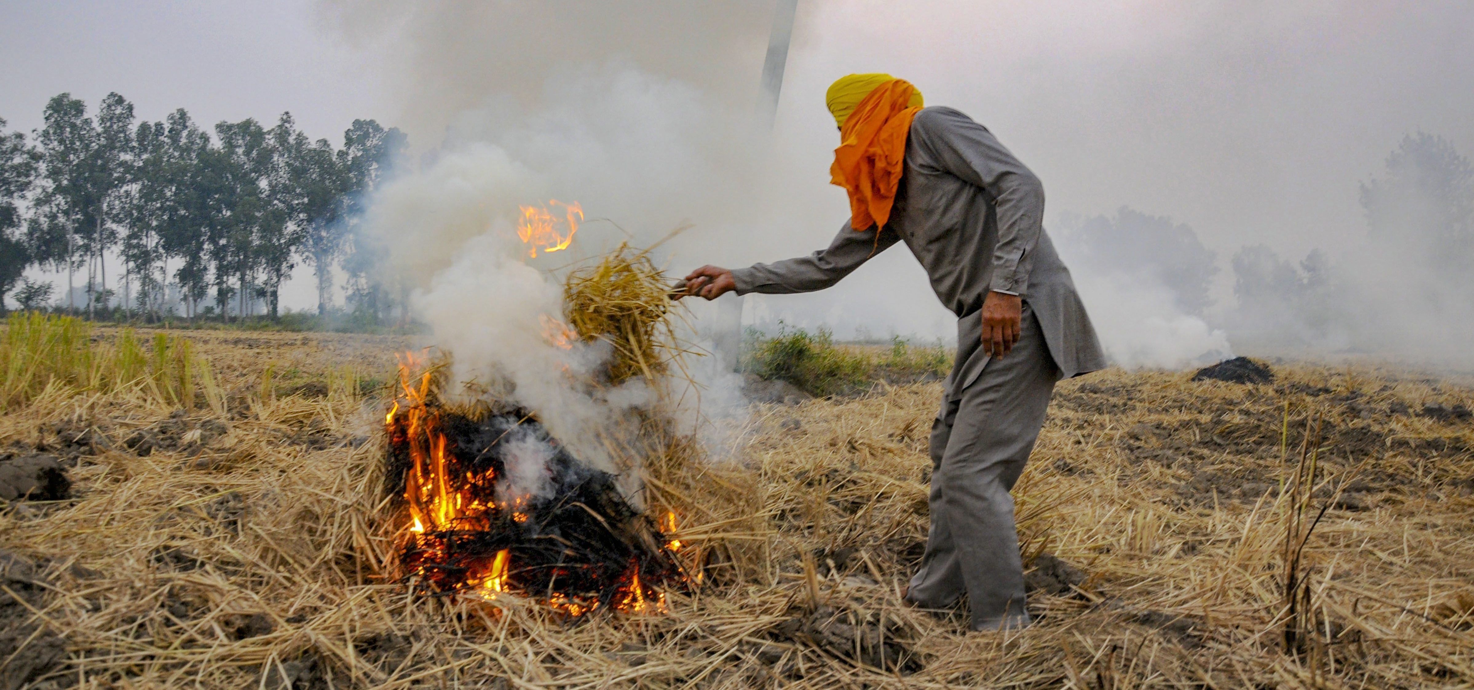 Dehli Air pollution. Biomass on Fire.