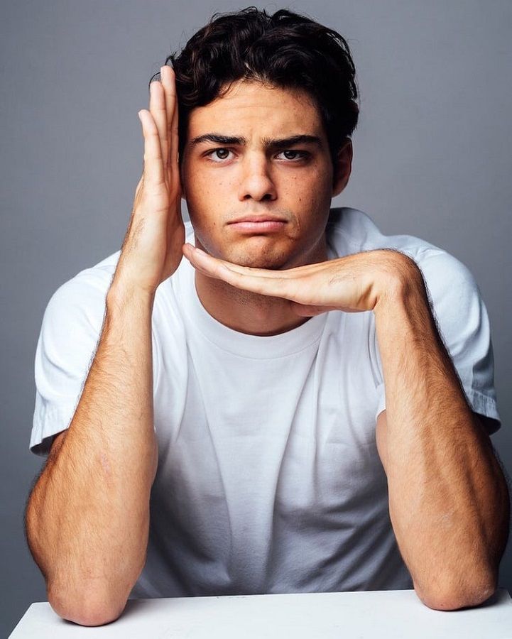 Noah Centineo:11 Facts About Internet's Heartthrob Noah Centineo Who ...