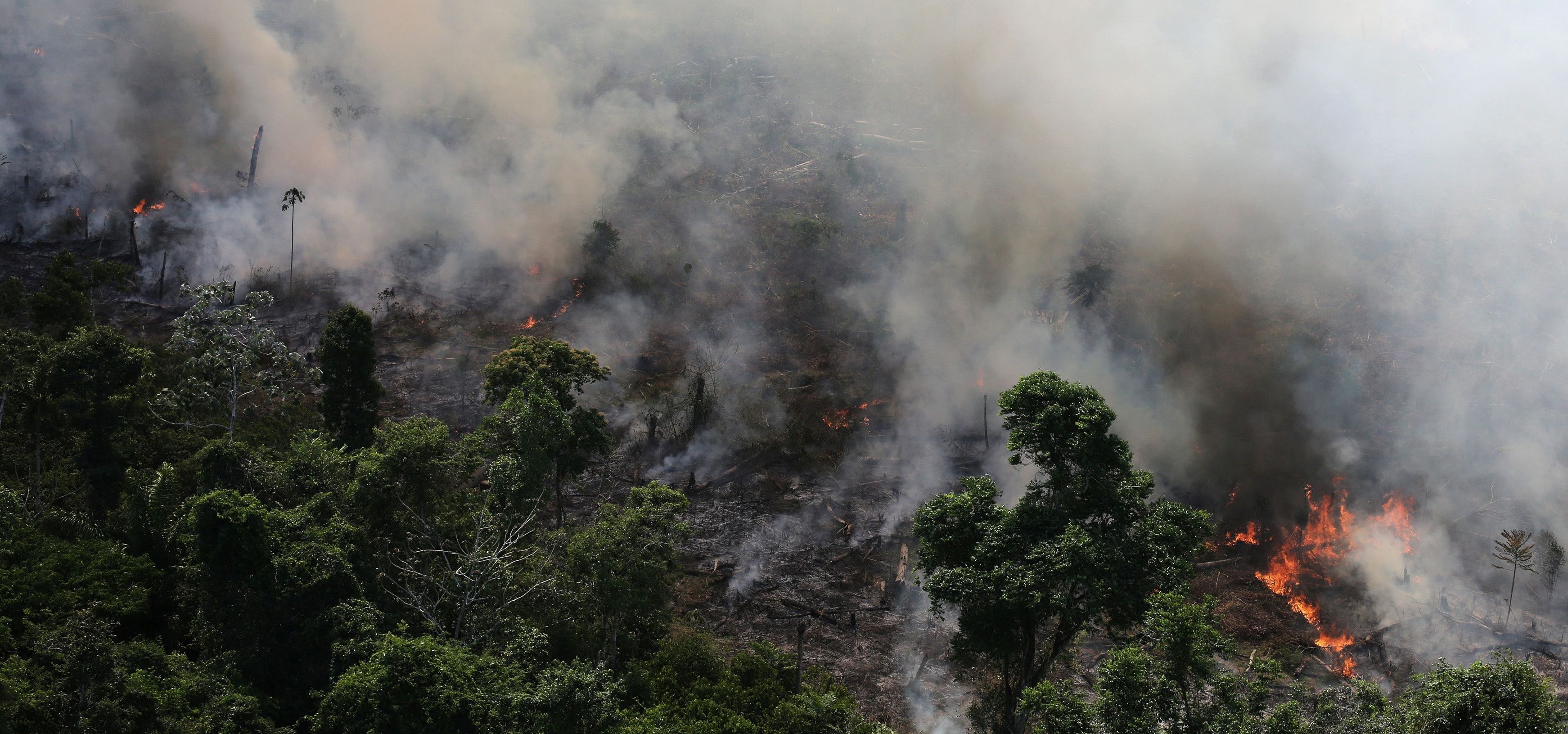 Amazon The Fire In World's Largest Rainforest Is So Huge That It's