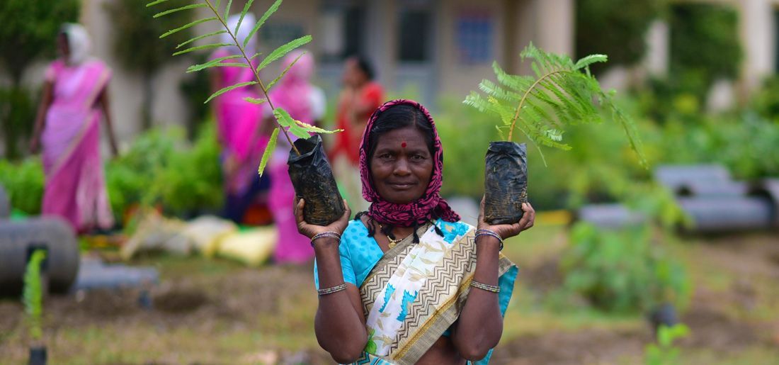 More Than A Million People Plant 220 Million Saplings In A Single Day ...