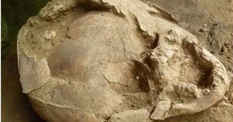 Ancient Humans Were Wiser: Scientists Found Two Babies Wearing Skulls ...