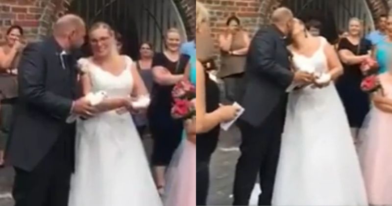 The World Of The Married Dove Vederlo