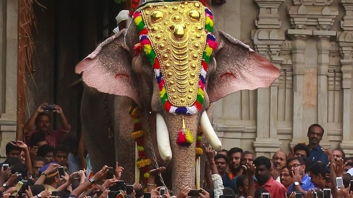 Almost Blind' Elephant Paraded In Kerala For Housewarming, Runs Amok At The Sound Of Crackers, Kills Two