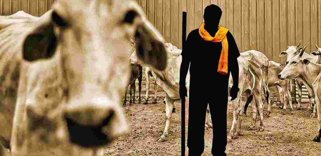 Bajrang Dal Activists Arrested For Forcing Cattle Transporters To Chant ‘Gau Mata Ki Jai’