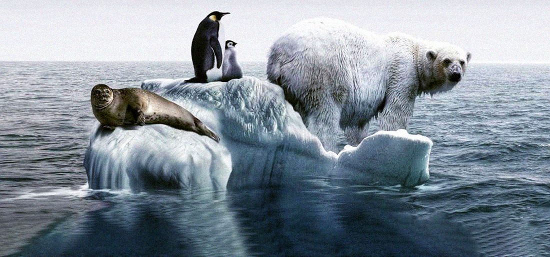 What Percent Of Species Are At Risk Of Extinction Due To Climate Change