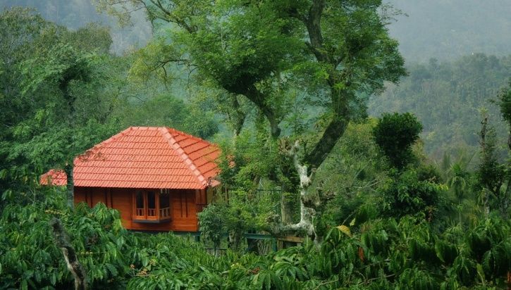 Best Tree Houses In India 9 Beautiful Tree House Resorts In India