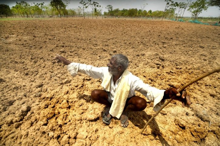 Farmer Suicidesover 12000 Maharashtra Farmers Committed Suicide In Last 3 Years Exposing State 9867