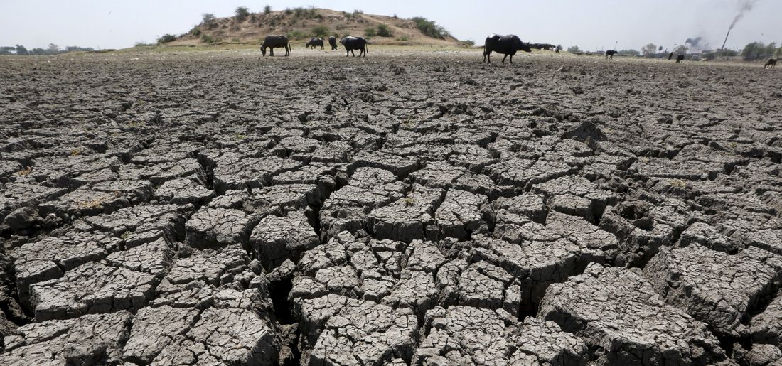 groundwater-is-depleting-quickly-in-india-and-no-political-party-has-it