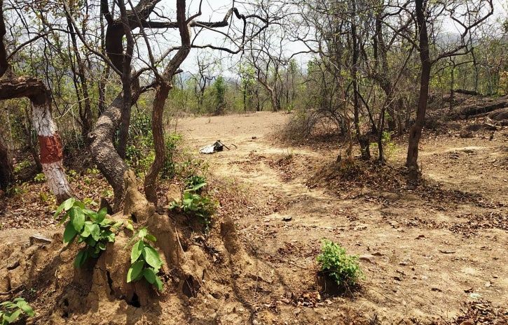 Gadchiroli Maoist Attack:These 12 Heartbreaking Images Show The Brutal ...