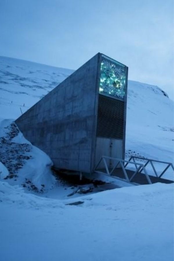 World S Most Critical Software Is Safe In A Deep Mine For 00 Years Next To Global Seed Vault