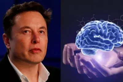 Elon Musk Wants To Eliminate Brain Diseases With His Neuralink Tech, But It's Going To Be Hard
