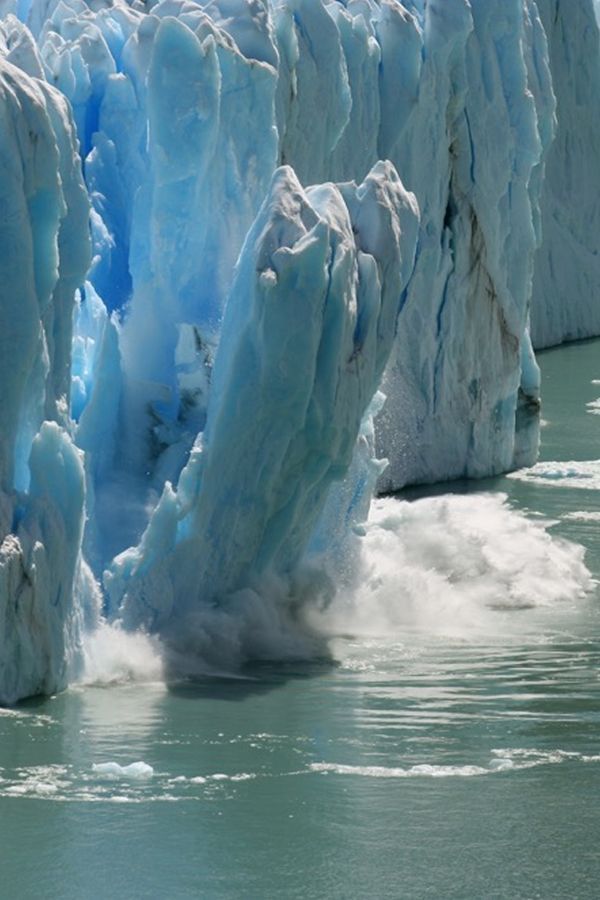 इटली ने Climate Change की पढ़ाई अनिवार्य कर दी, हमारे यहां CBSE ने बोर्ड परीक्षा के सिलेबस से चैप्टर ही हटा दिए