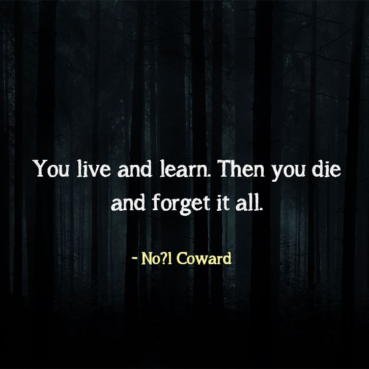  funny  death  quotes  These Funny  Quotes  On Death  Are Perfect 