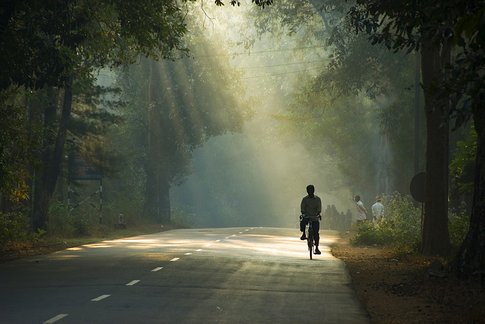 Man Cycles 1,800 Km From Mumbai To Odisha Village