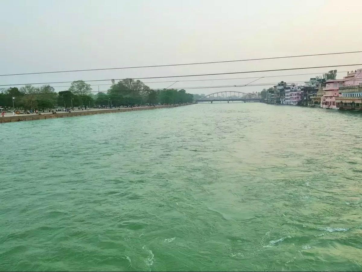 River Ganga'S Water Quality Has Improved So Much During Lockdown That Now  It'S Fit To Drink