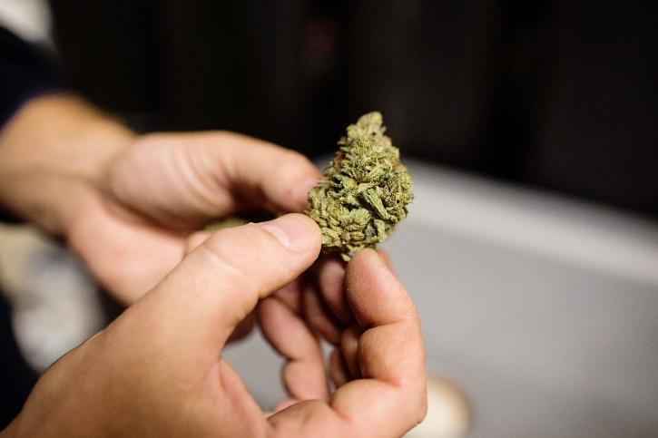 Man Tries To Smuggle Weed In Sleeping Bags In India But Strong Smell Gives Away Sinister Plan