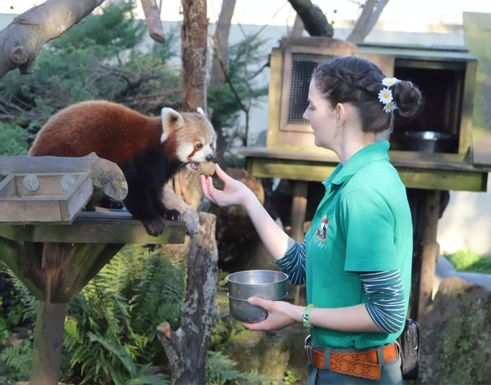 Paradise Park Wildlife Sanctuary - Access Cornwall