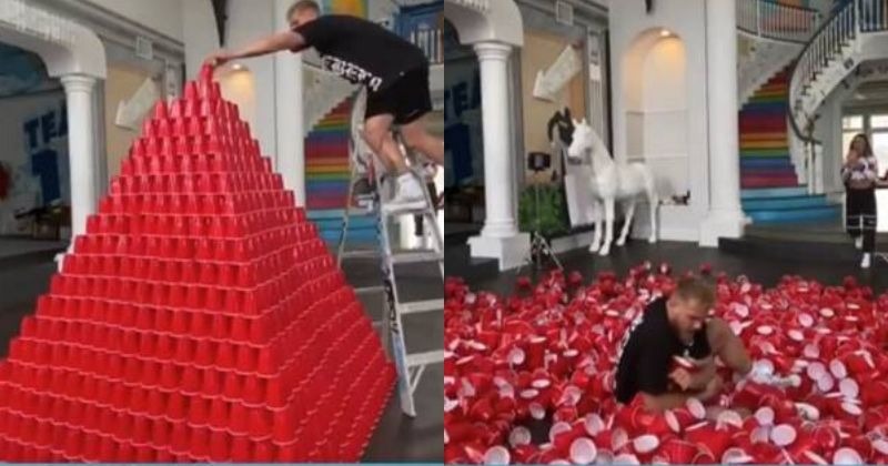 Watch: Man Falls Face Forward On The Pyramid Of Cups He Spent 2 Days ...
