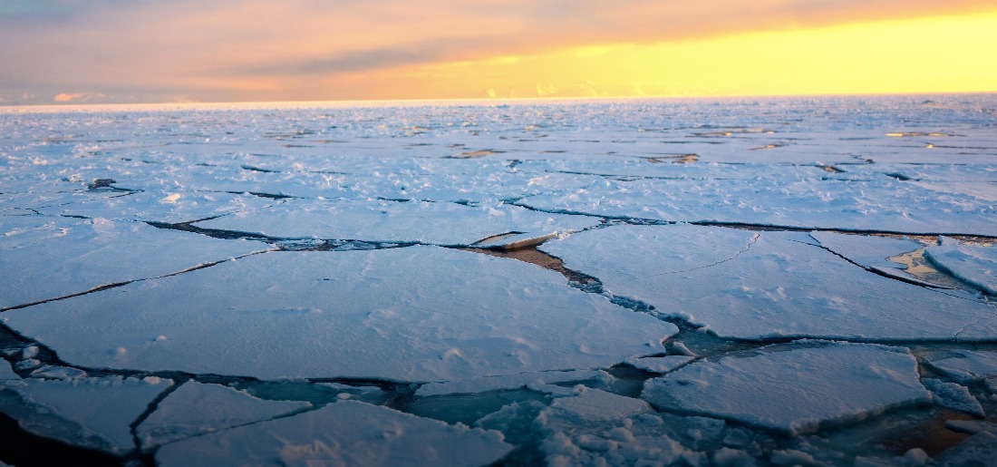 Arctic Ice Will Completely Melt Into Ocean In 15 Years, Claims Study