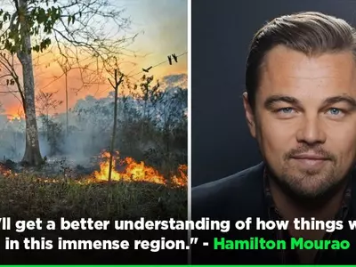 Brazil VP Challenges Leonardo DiCaprio, Invites Him To See The Reality Of Amazon Rainforest