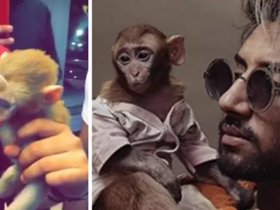Tattoo Artist & His Manager Arrested For Keeping Monkey As Pet And Forcing It To Drink Alcohol