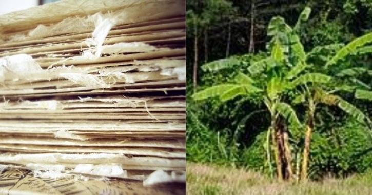 banana tree fibre face mask
