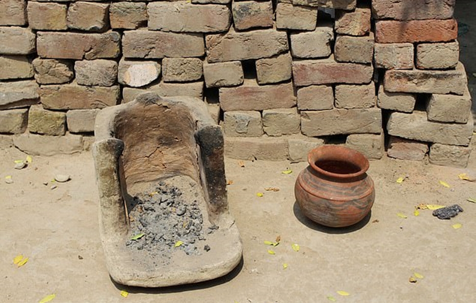 Indus Valley Civilization's Diet Dominated By Meat Including Pork