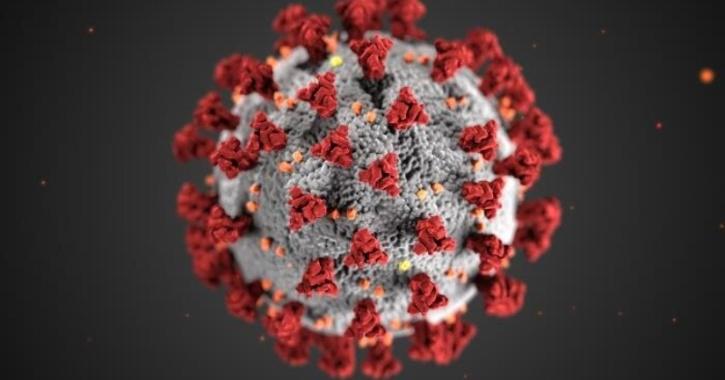 Coronavirus SARS-CoV-2
