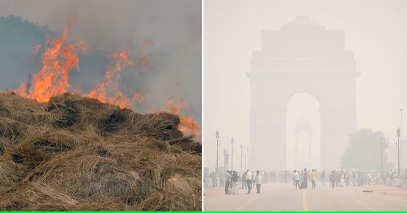 Stubble Burnings Have Stopped, But Delhi's Air Quality Continues To ...