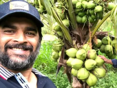 R Madhavan Buys Barren Land With His Cousin Brother, Turns It Into Lush Green Coconut Farm