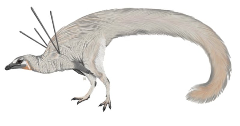 Dinosaur with ‘hair’, ‘ribbons’ have been described by scientists