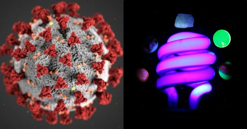 Researchers claim that all that is needed to kill the coronavirus is UV light from the LEDs.