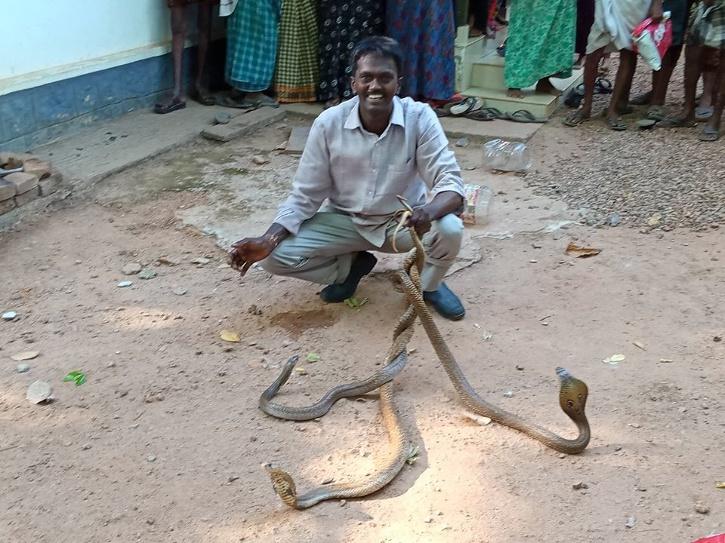 Kerala Wildlife Hero Vava Suresh Who Has Saved 50000 Snakes