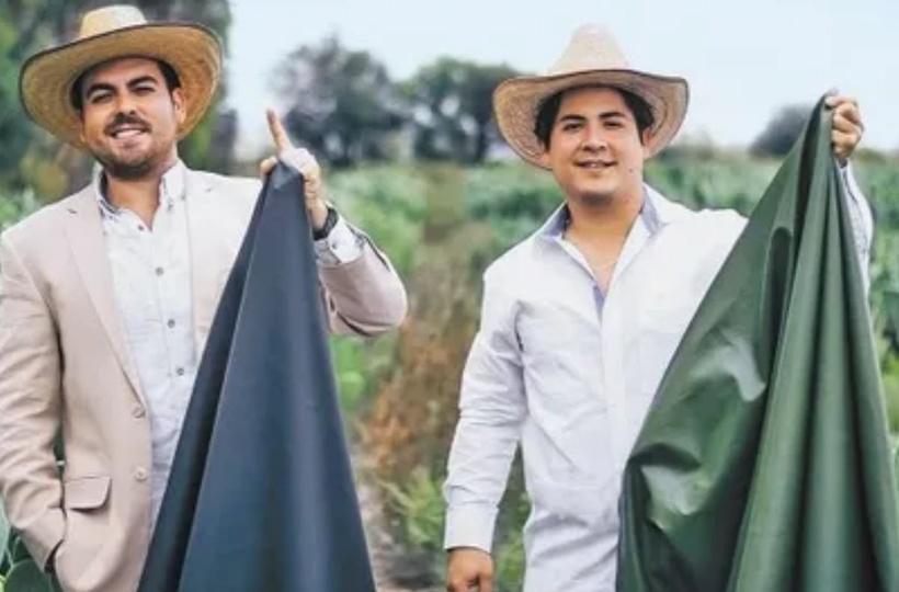 Two Guys Create 'Leather' From Cactus, Will Save 1 Billion Animals Killed  For Fashion